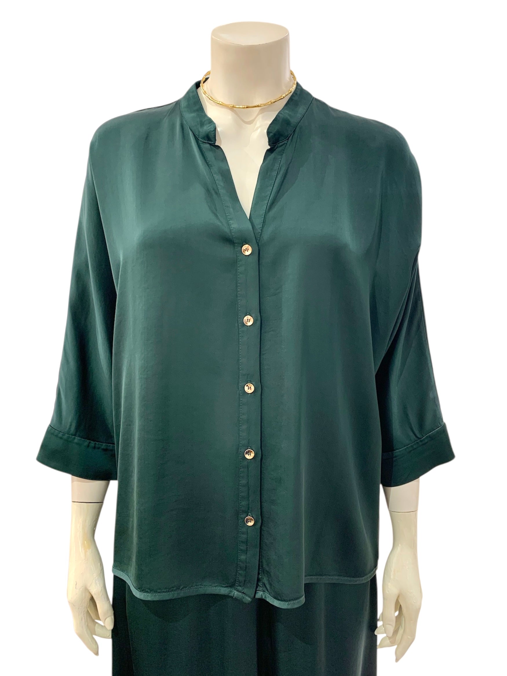 CAMICIA COREANA VERDONE